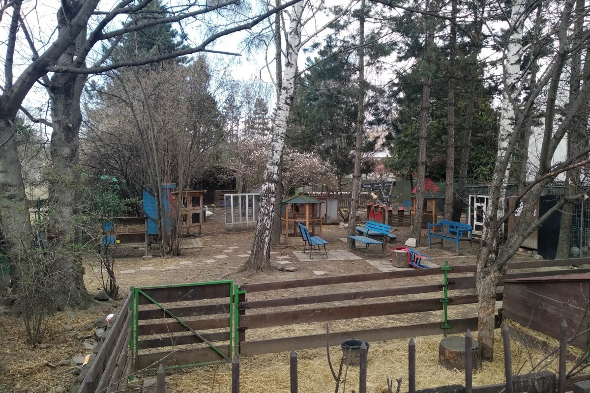 dubenka-001 dubenka-001