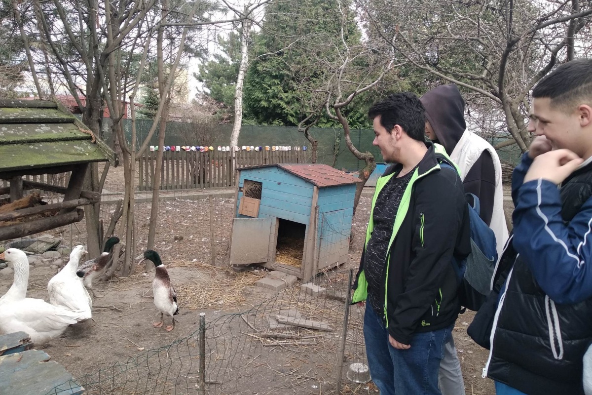 dubenka-004 dubenka-004