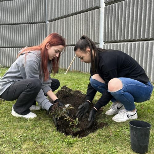 393783778_925328178967003_5512409237852576988_n 393783778_925328178967003_5512409237852576988_n