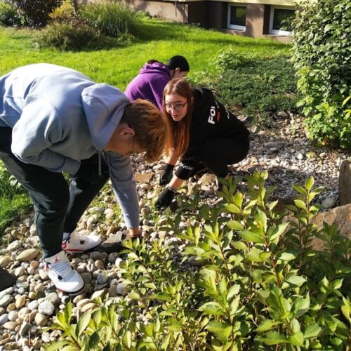 393975315_925328642300290_7634694130106280525_n 393975315_925328642300290_7634694130106280525_n