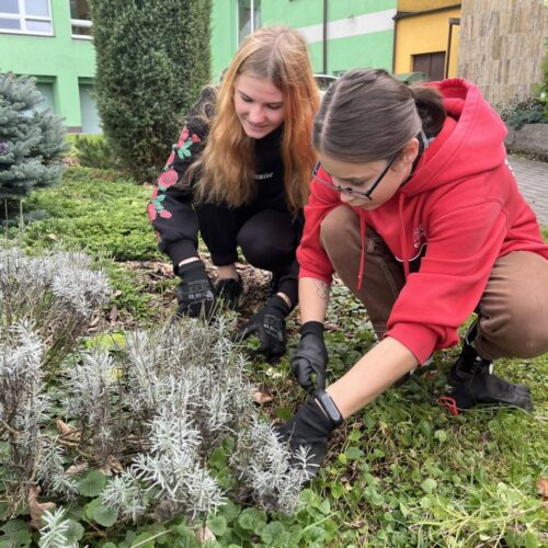 394215322_925328282300326_8872556622085840820_n 394215322_925328282300326_8872556622085840820_n