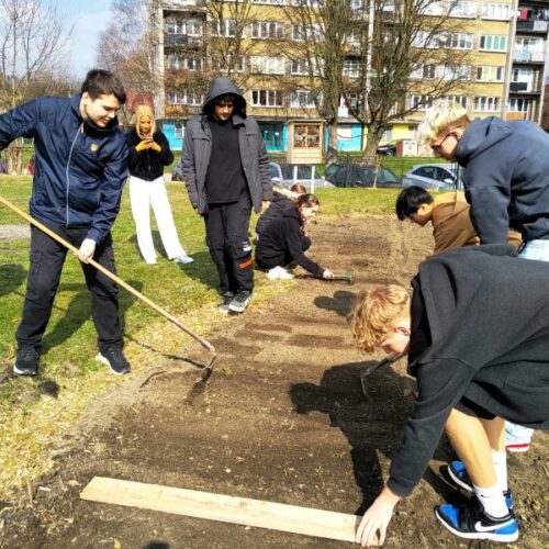 seminko -002 seminko -002