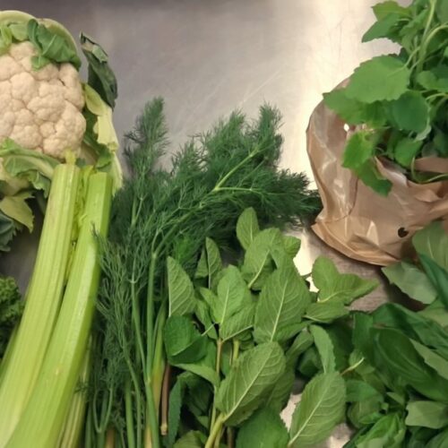 od-seminka-002 od-seminka-002